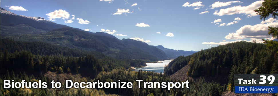 IEA Bioenergy Task 39 – Biofuels to Decarbonize Transport